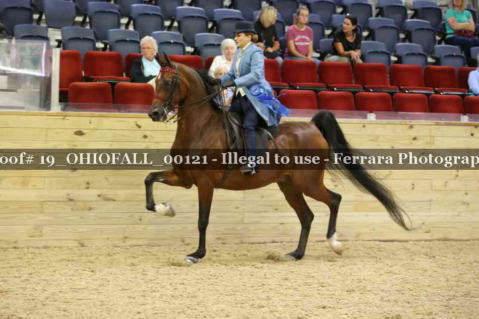 Proof 19_OHIOFALL_00121