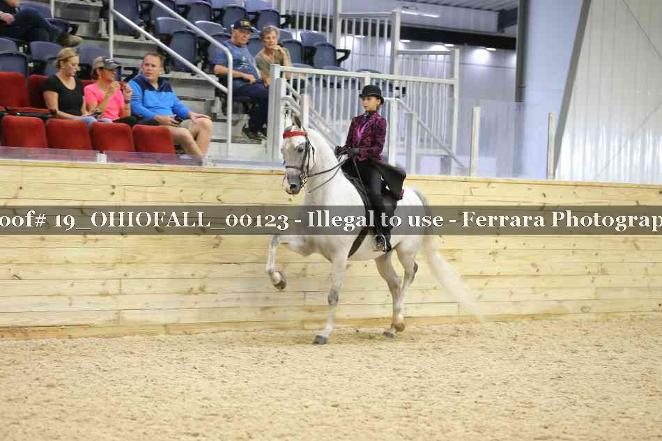 Proof 19_OHIOFALL_00123