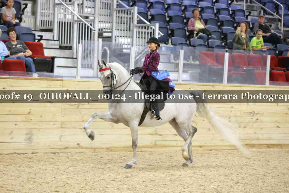 Proof 19_OHIOFALL_00124