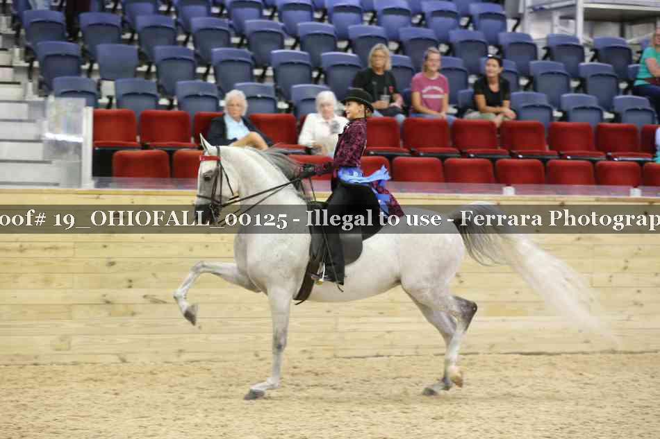 Proof 19_OHIOFALL_00125