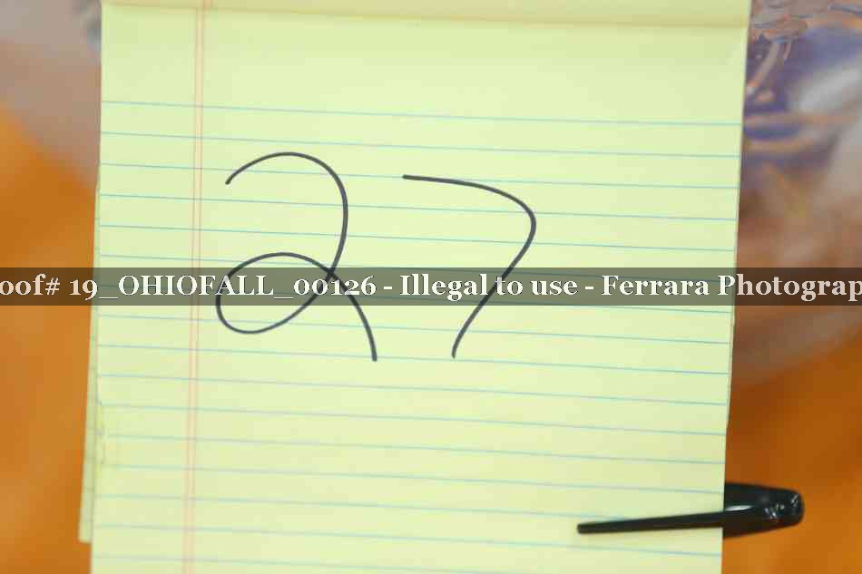 Proof 19_OHIOFALL_00126