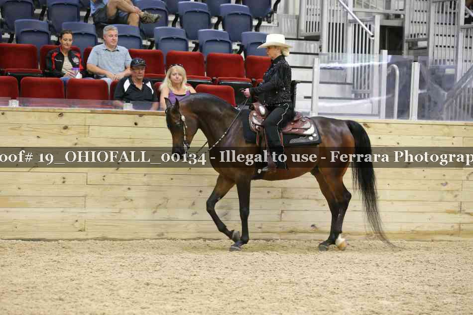 Proof 19_OHIOFALL_00134
