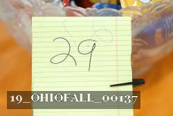 19_OHIOFALL_00137 proof