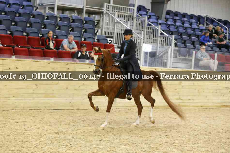 Proof 19_OHIOFALL_00147