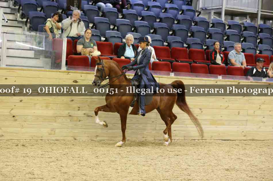 Proof 19_OHIOFALL_00151