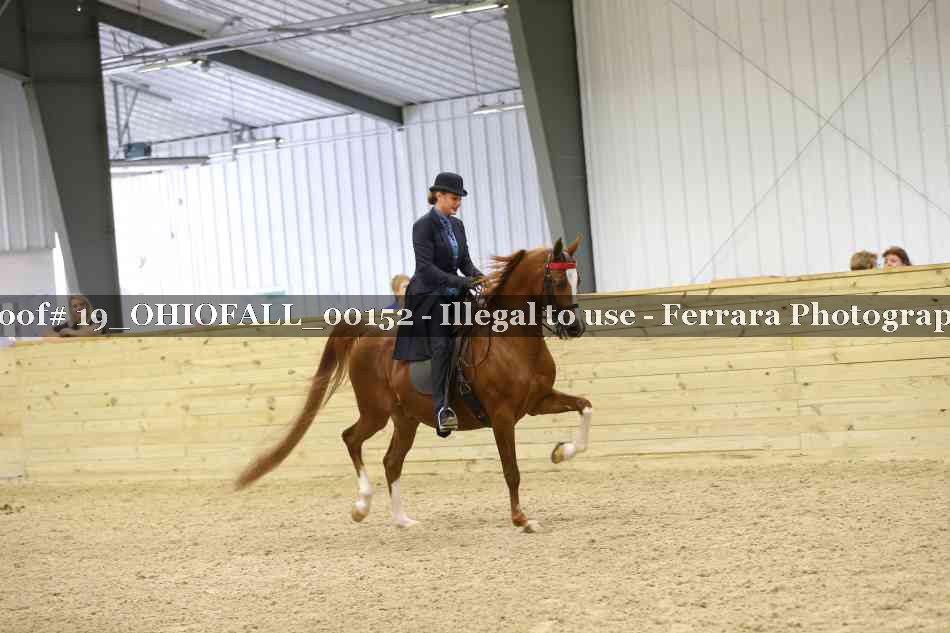 Proof 19_OHIOFALL_00152