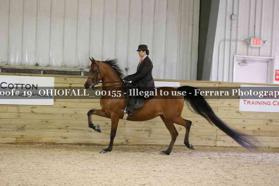 Proof 19_OHIOFALL_00155