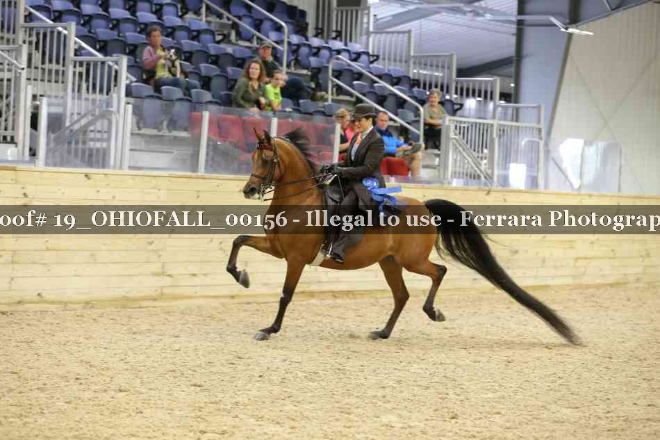 Proof 19_OHIOFALL_00156