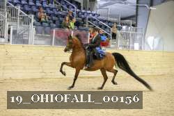 19_OHIOFALL_00156 proof