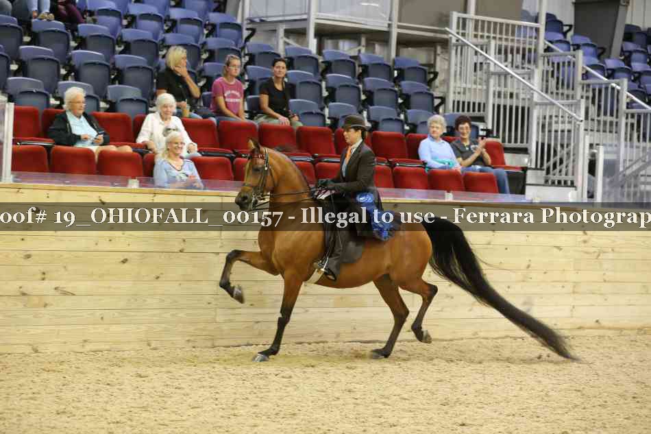 Proof 19_OHIOFALL_00157