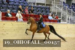 19_OHIOFALL_00157 proof