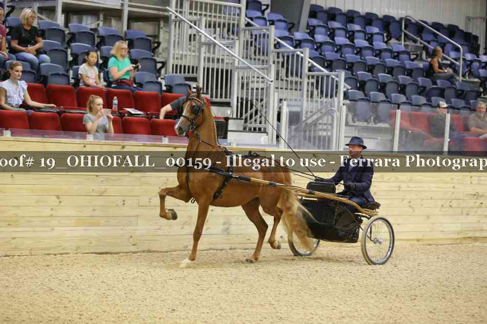 Proof 19_OHIOFALL_00159
