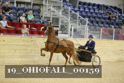 19_OHIOFALL_00159 proof