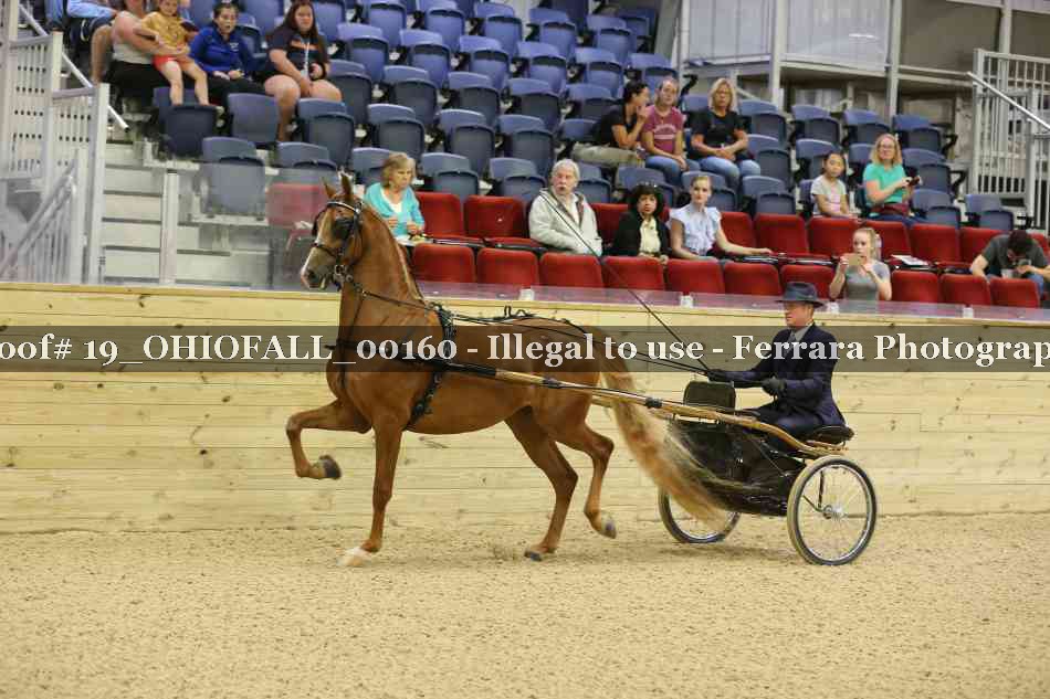 Proof 19_OHIOFALL_00160
