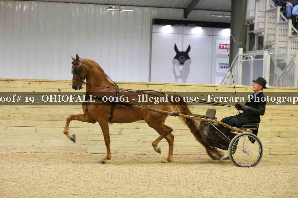 Proof 19_OHIOFALL_00161
