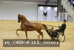 19_OHIOFALL_00161 proof