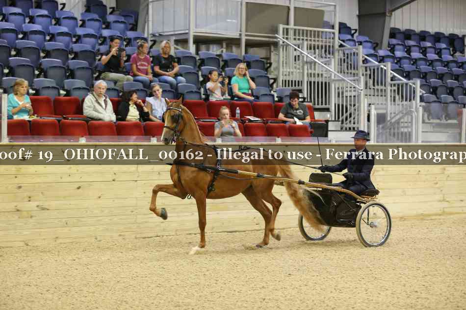 Proof 19_OHIOFALL_00162