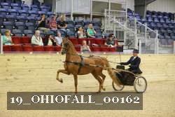 19_OHIOFALL_00162 proof