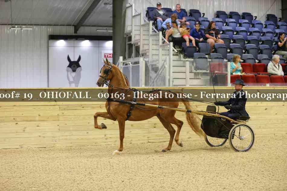 Proof 19_OHIOFALL_00163