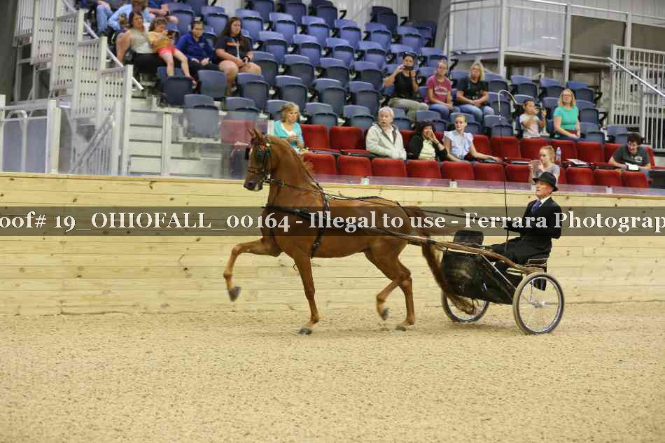 Proof 19_OHIOFALL_00164