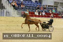 19_OHIOFALL_00164 proof