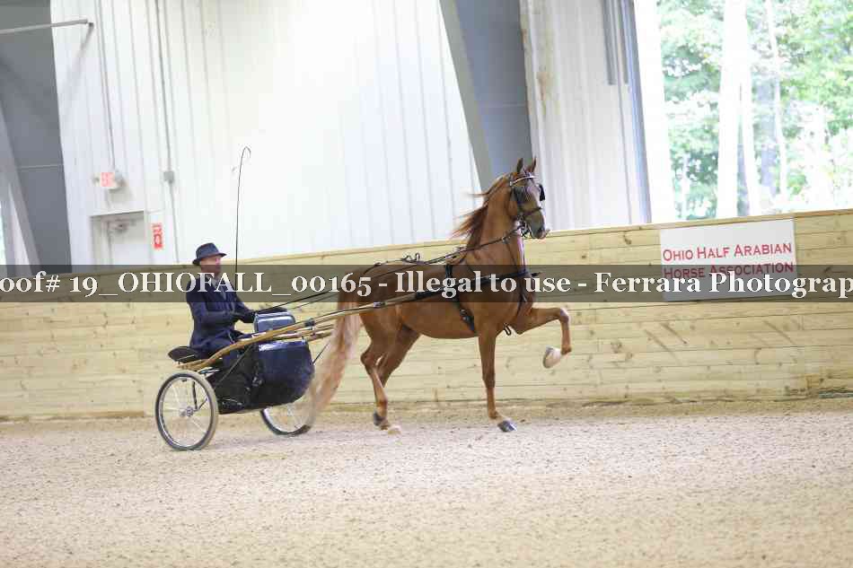 Proof 19_OHIOFALL_00165