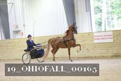 19_OHIOFALL_00165 proof