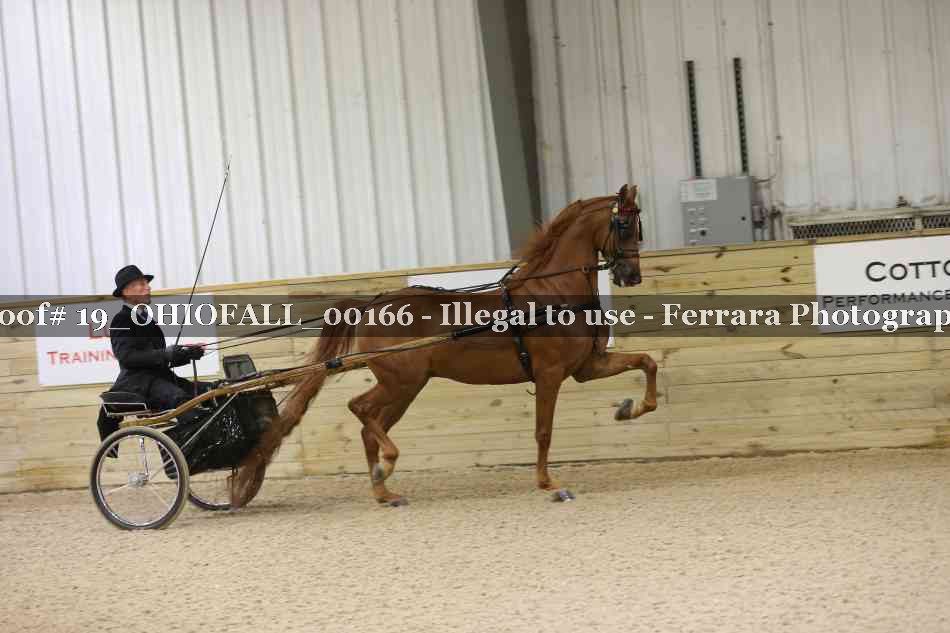 Proof 19_OHIOFALL_00166