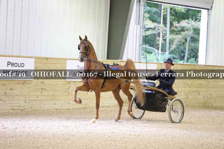 Proof 19_OHIOFALL_00167
