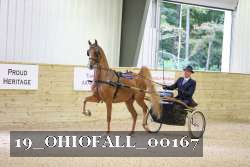 19_OHIOFALL_00167 proof