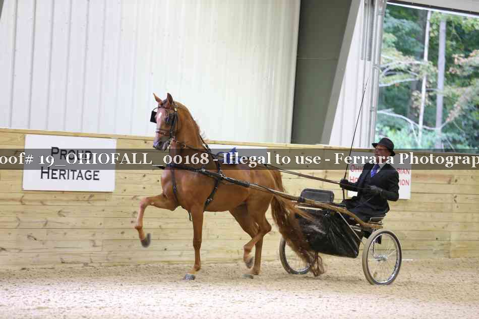 Proof 19_OHIOFALL_00168