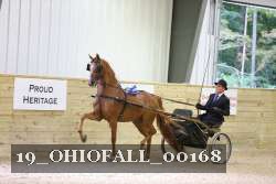 19_OHIOFALL_00168 proof