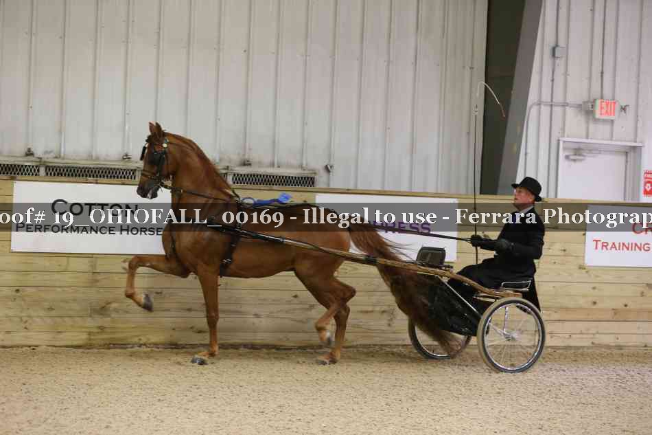 Proof 19_OHIOFALL_00169