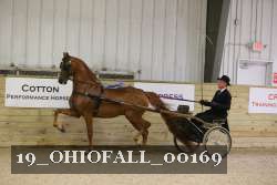 19_OHIOFALL_00169 proof