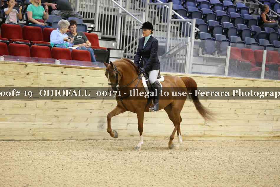 Proof 19_OHIOFALL_00171