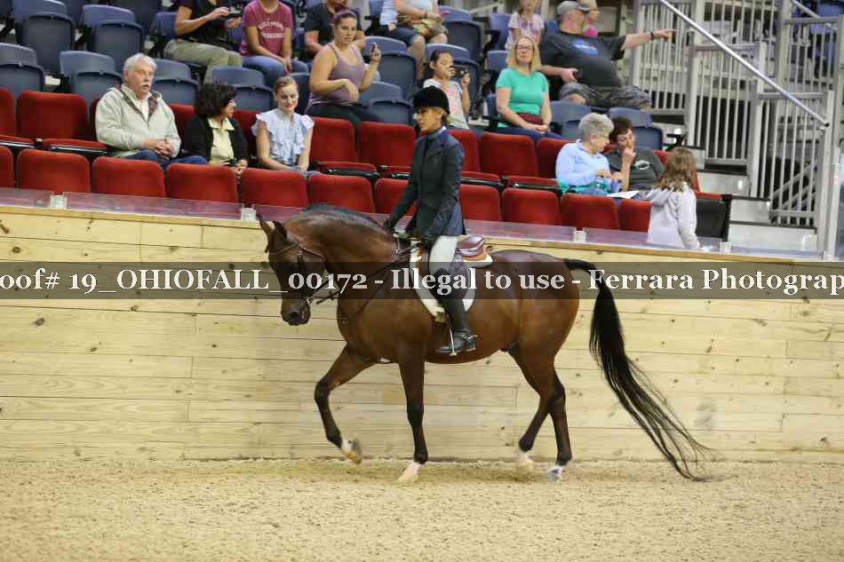 Proof 19_OHIOFALL_00172