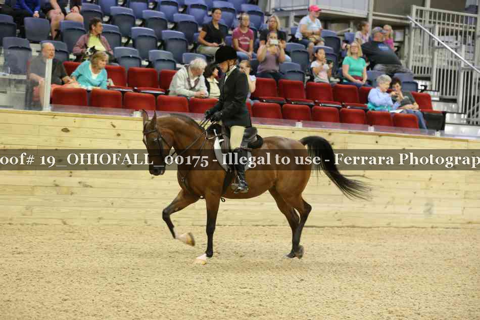 Proof 19_OHIOFALL_00175