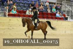 19_OHIOFALL_00175 proof
