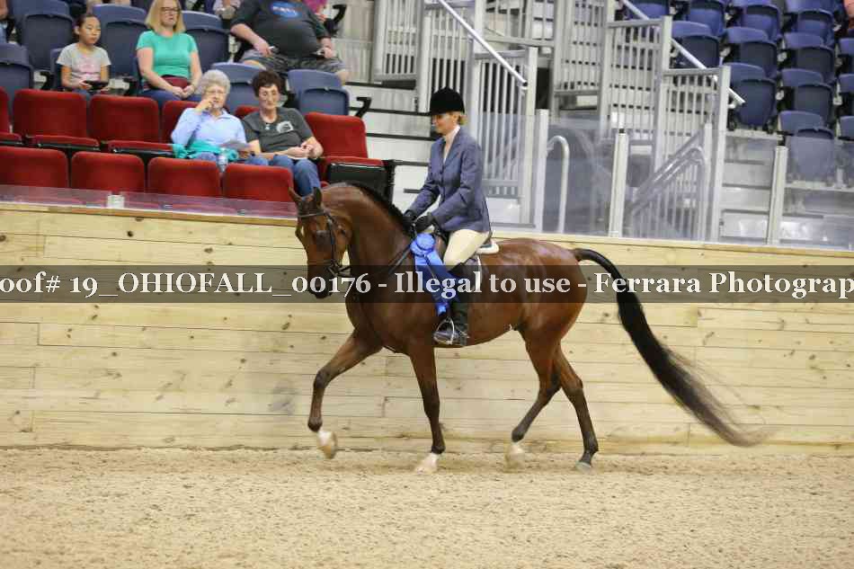 Proof 19_OHIOFALL_00176
