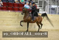 19_OHIOFALL_00178 proof