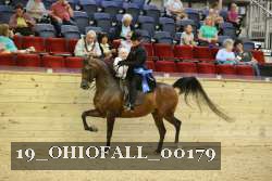 19_OHIOFALL_00179 proof