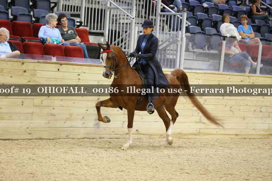Proof 19_OHIOFALL_00186