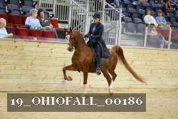 19_OHIOFALL_00186 proof