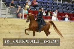 19_OHIOFALL_00187 proof