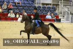 19_OHIOFALL_00189 proof