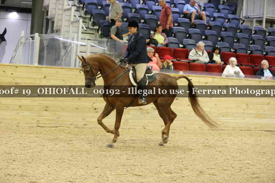 Proof 19_OHIOFALL_00192