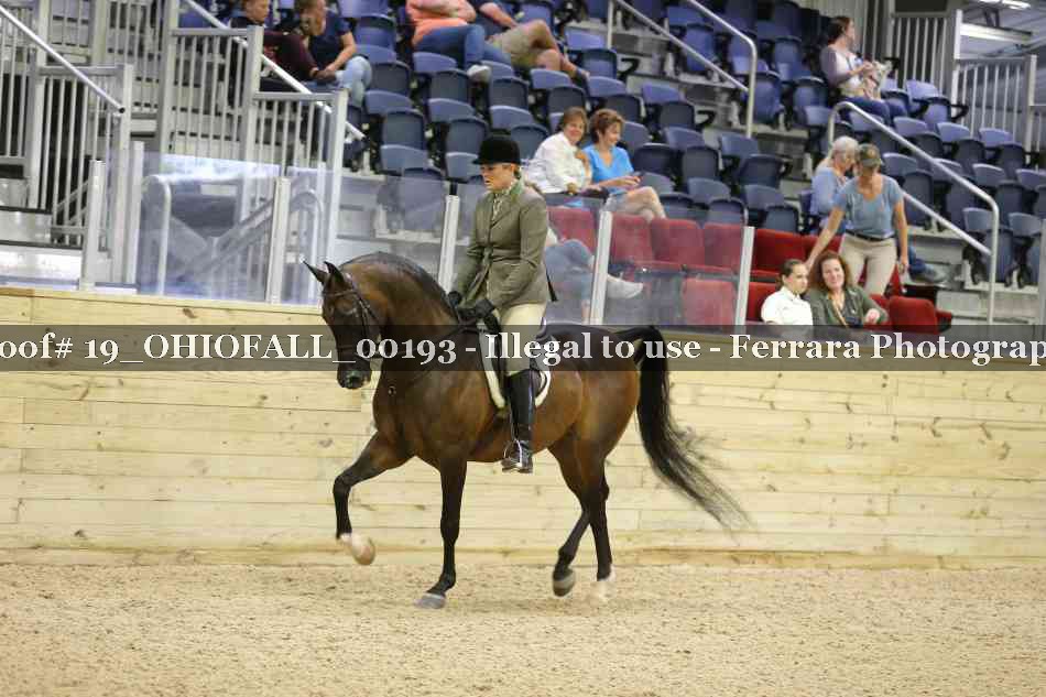 Proof 19_OHIOFALL_00193