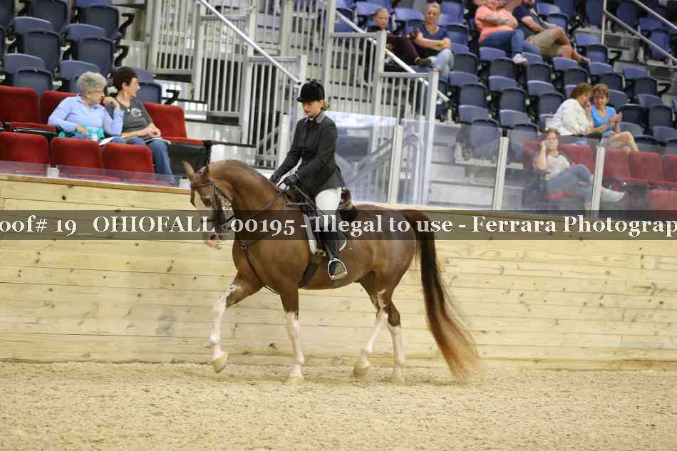 Proof 19_OHIOFALL_00195
