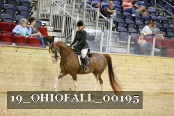 19_OHIOFALL_00195 proof