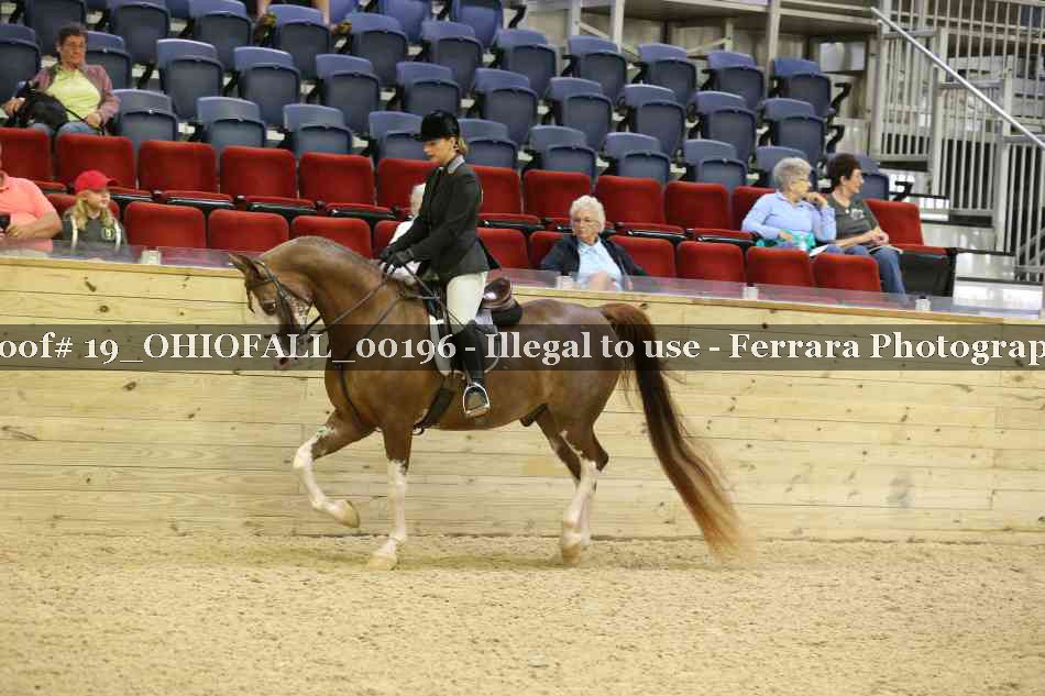 Proof 19_OHIOFALL_00196